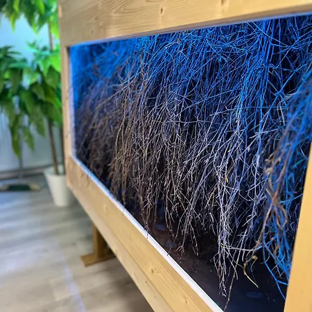 Z Dusza Sauna Jacuzzi Affittacamere